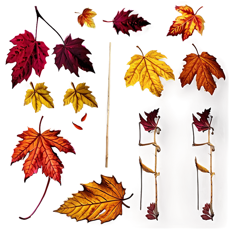 Deciduous Leaves Falling Png 76