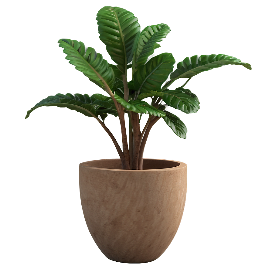 Decorative Small Plant Png 39