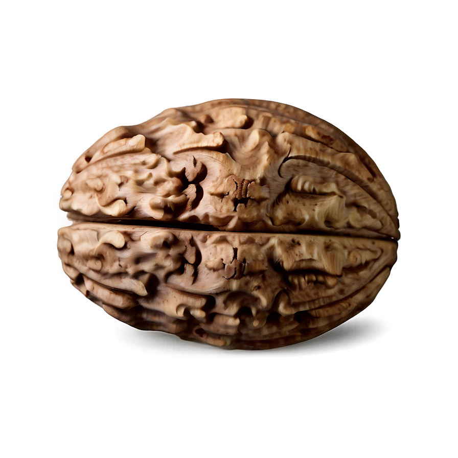 Decorative Walnut Png 06122024