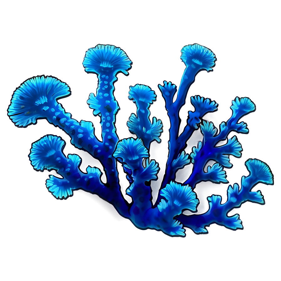 Deep Sea Coral Png 34