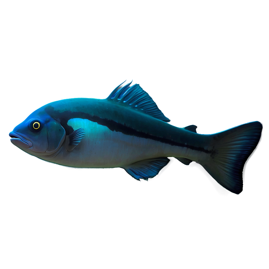 Deep Sea Underwater Png 06232024