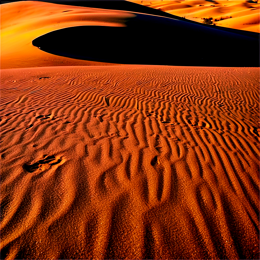 Delaware Sand Dunes Png Qbu