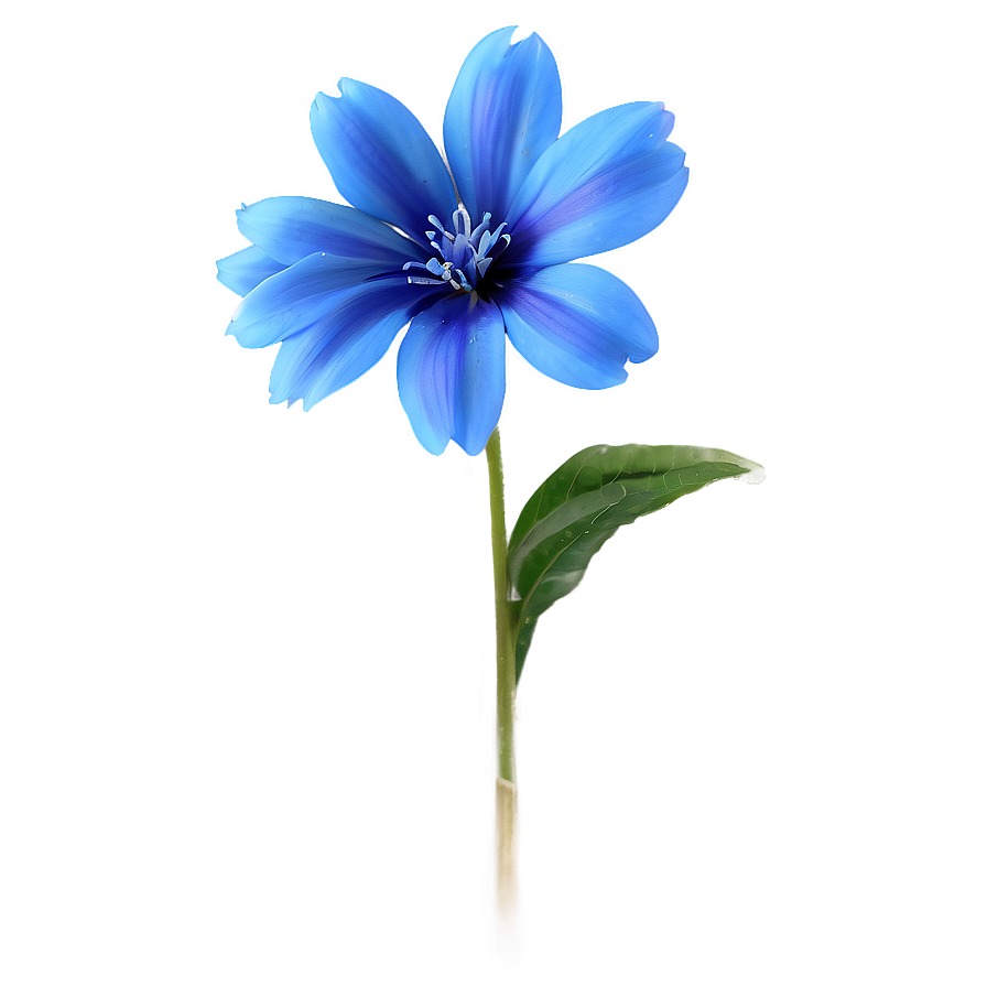 Delicate Blue Flower Png 05242024