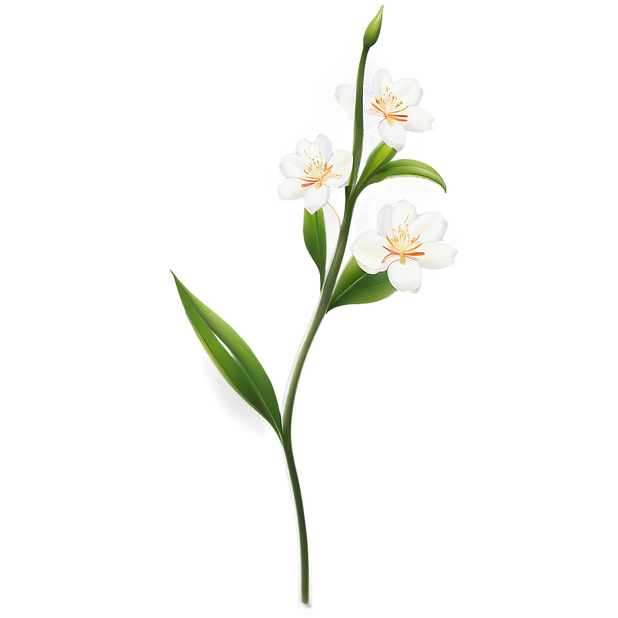 Delicate Flower Stem Png Oov