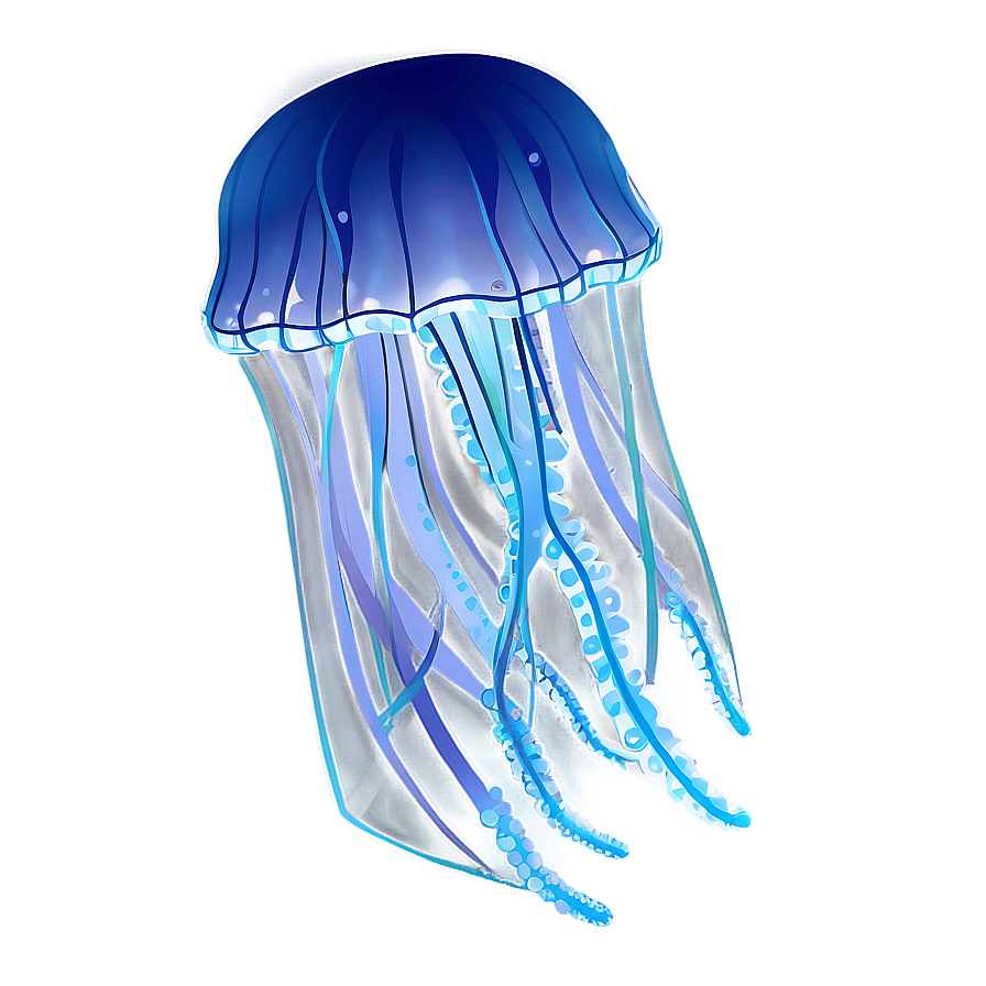 Delicate Moon Jelly Outline Png Feh