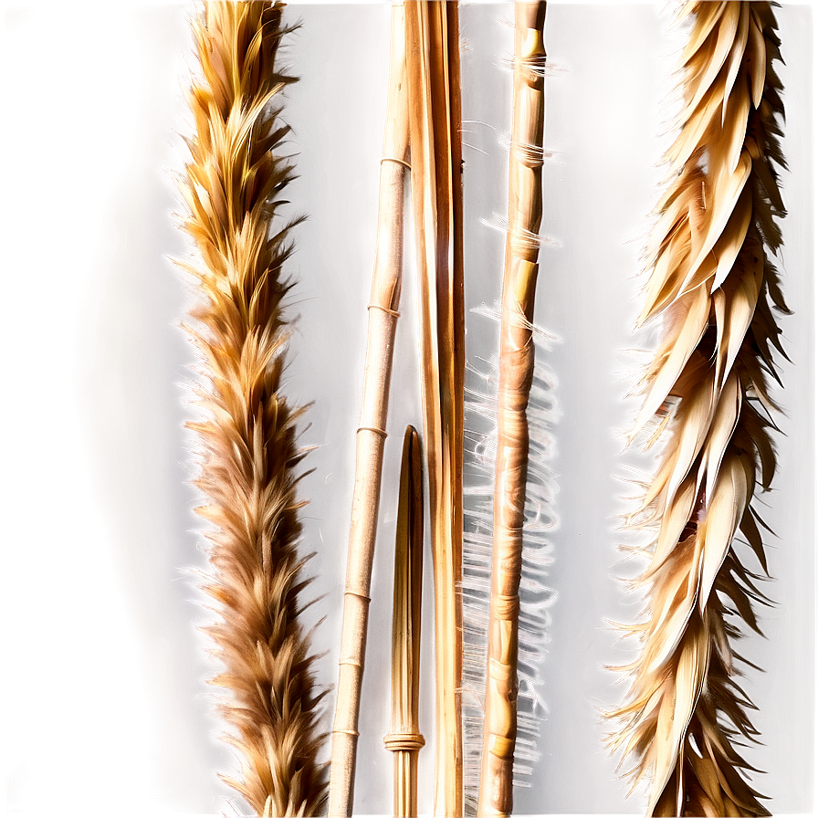 Delicate Pampas Detail Png Vhx80