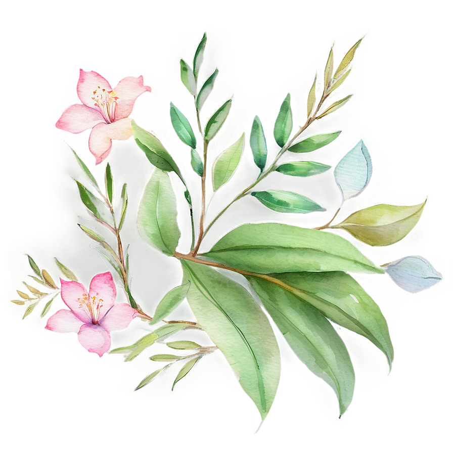 Delicate Watercolor Florals Png Bek7