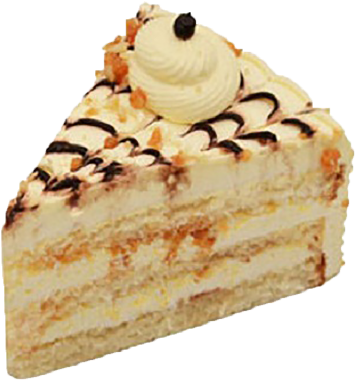 Delicious Creamy Cake Slice