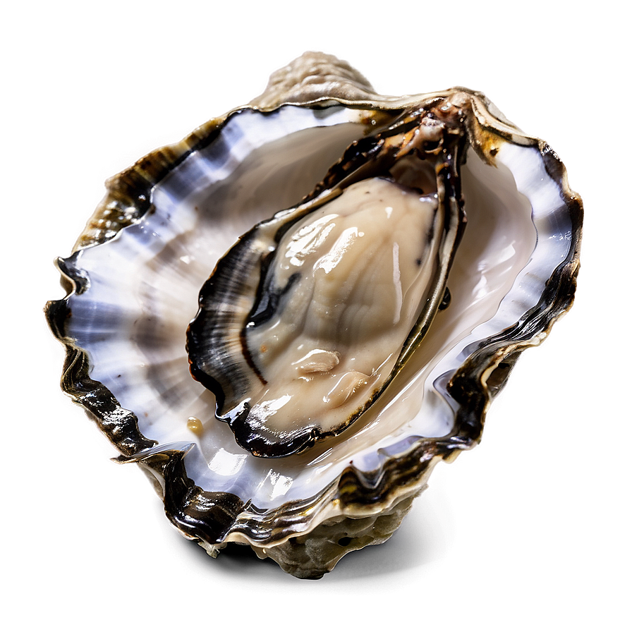 Delicious Oyster Png Eik