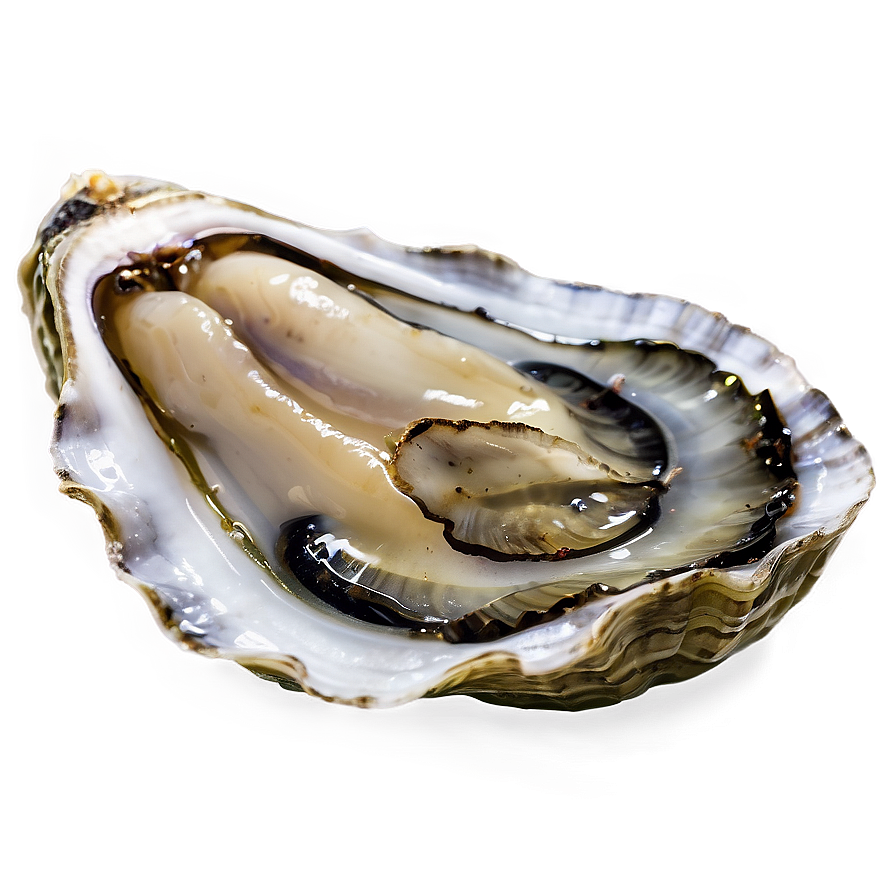 Delicious Oyster Png Ndk91