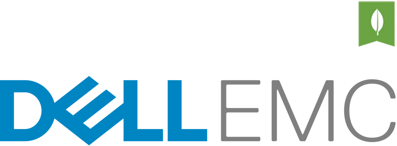 Dell E M C Logo