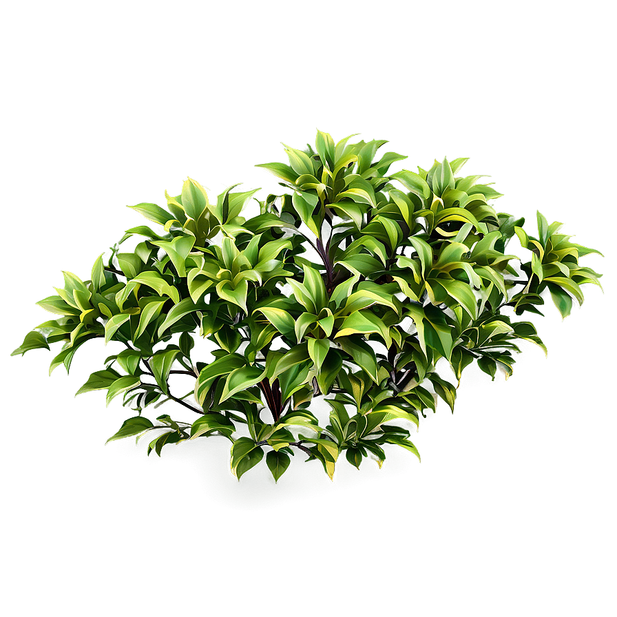 Dense Flower Bush Png 71