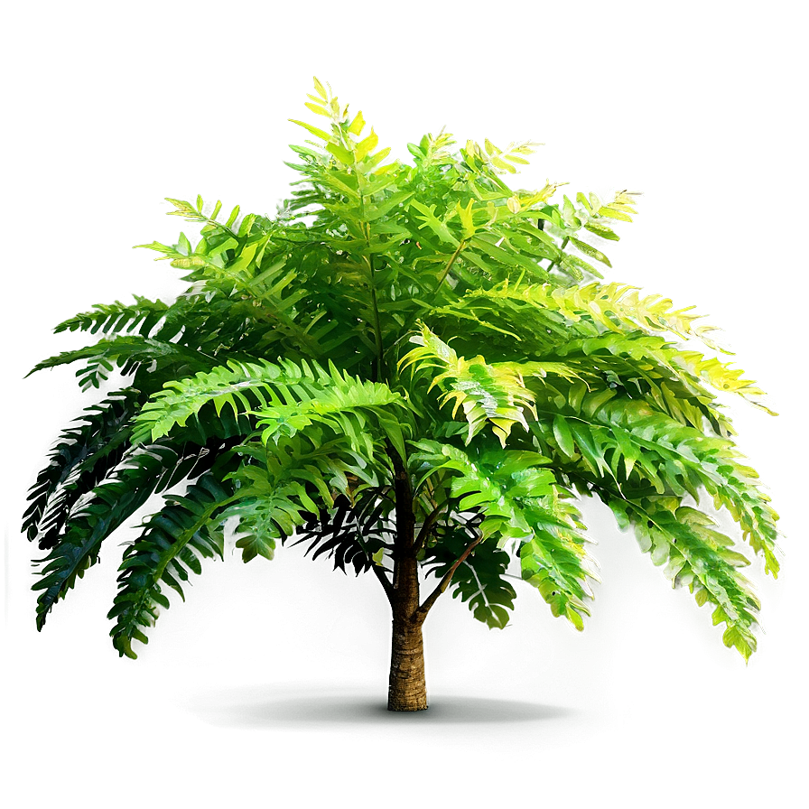 Dense Forest Bush Png Sdv