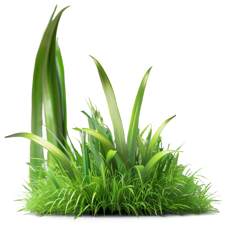 Dense Green Grass Png Evo84