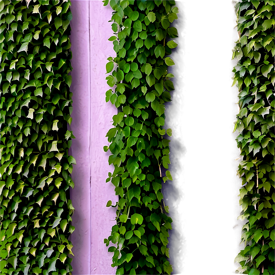 Dense Vine Wall Png Jyy