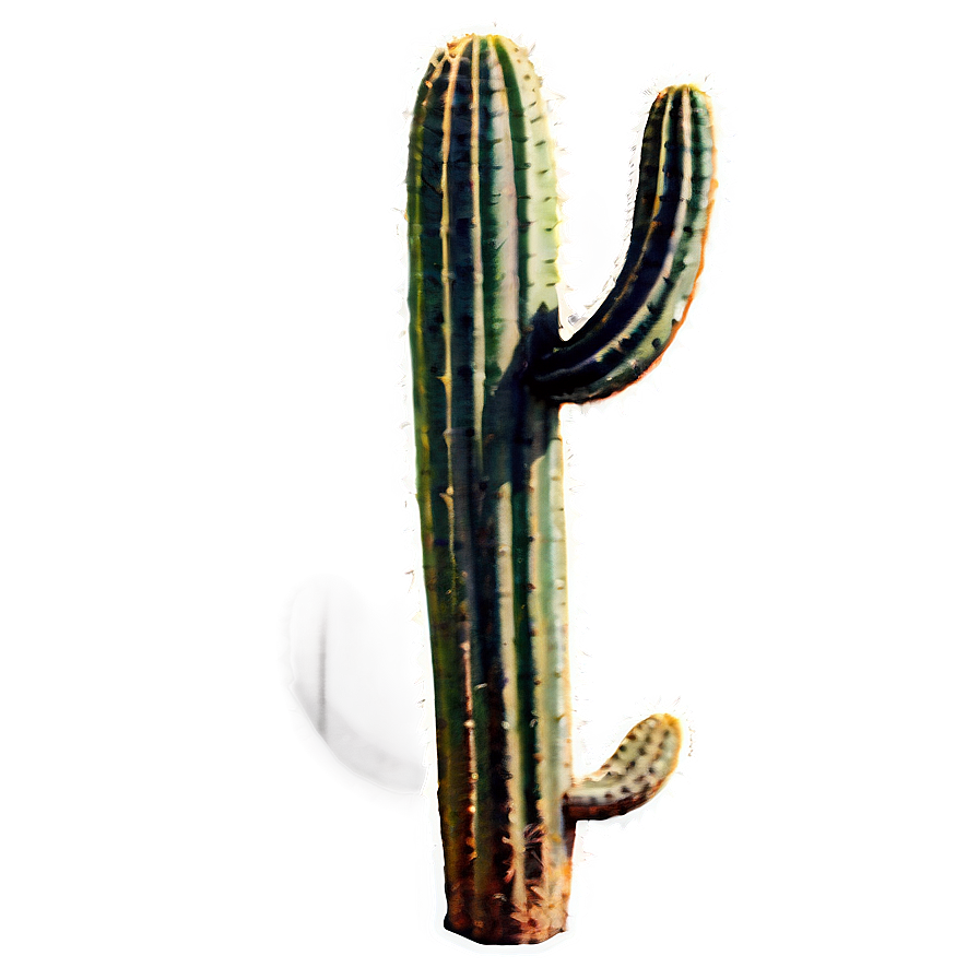 Desert Cactus Png Rmc70