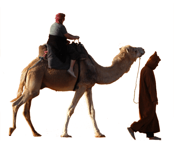 Desert Camel Ridewith Guide