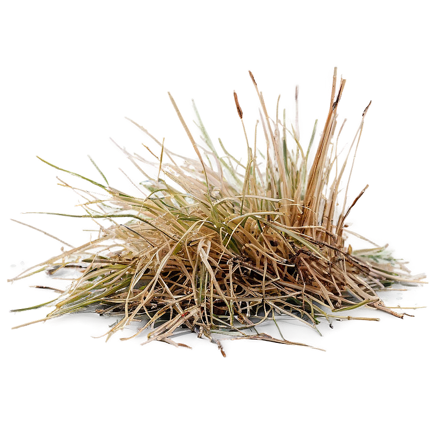 Desiccated Grass Texture Png Dtf