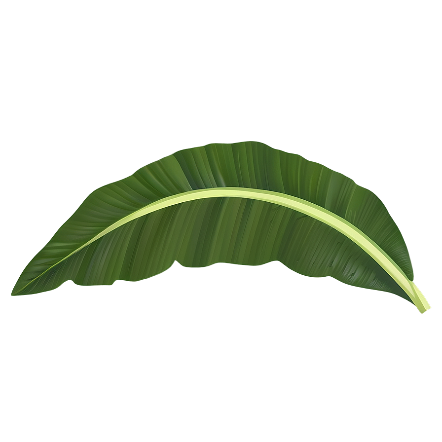 Detailed Banana Leaf Design Png Ruy55