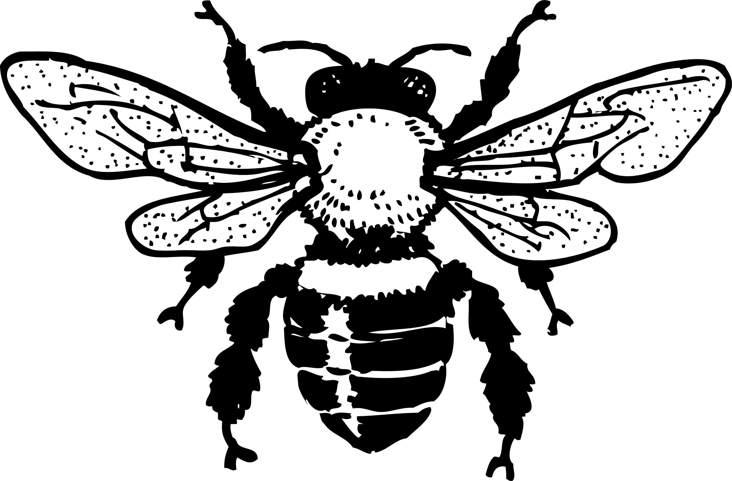 Detailed Bee Clipart Blackand White