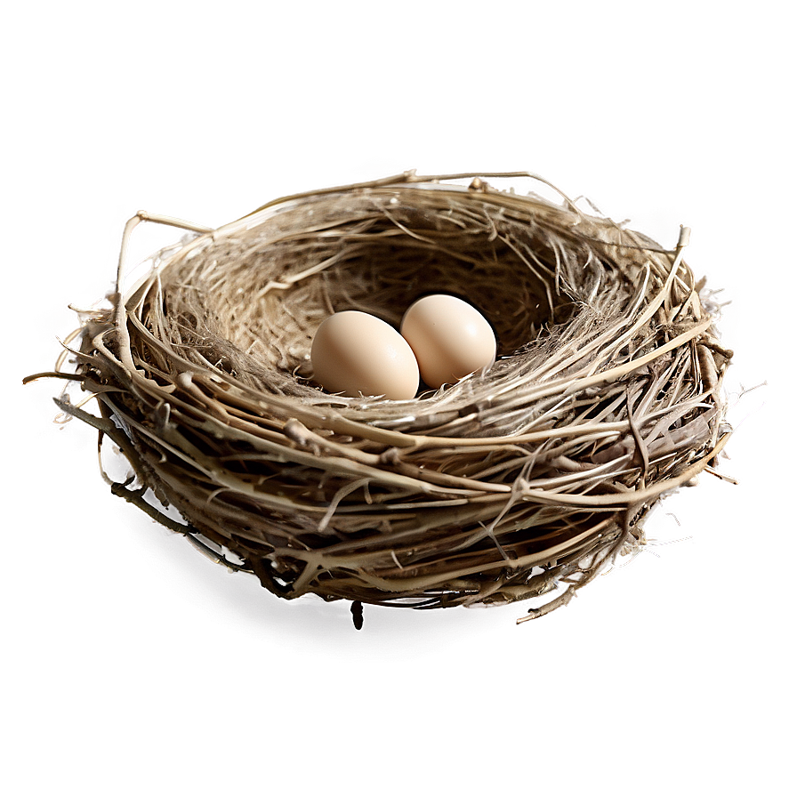 Detailed Bird Nest Png Pja1