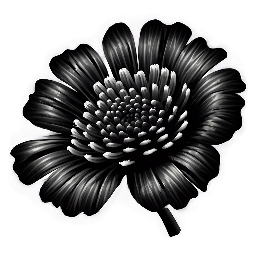 Detailed Black White Flowers Png 06282024