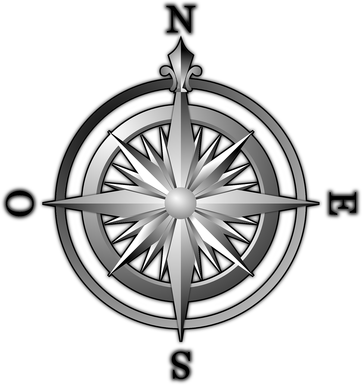 Detailed Compass Rose Graphic