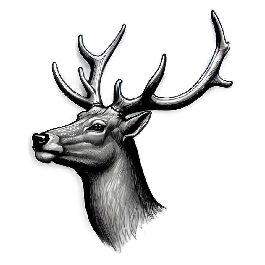 Detailed Deer Head Sketch Png 54