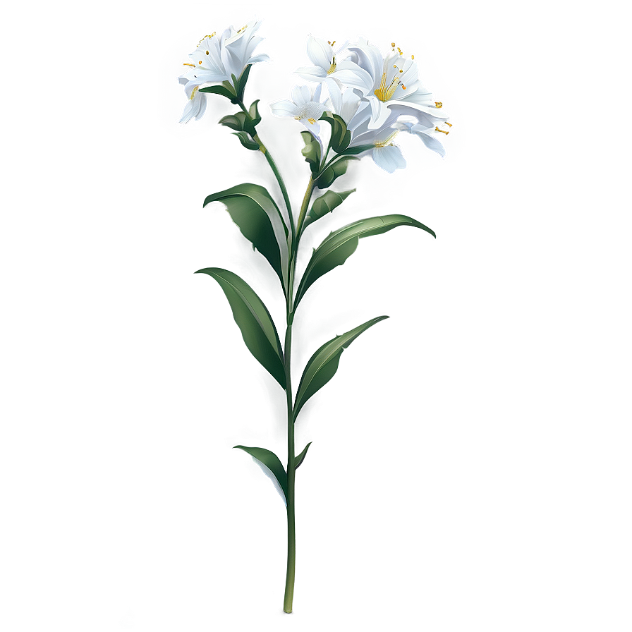 Detailed Flower Stem Png 30