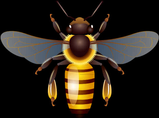 Detailed Illustrationof Bee