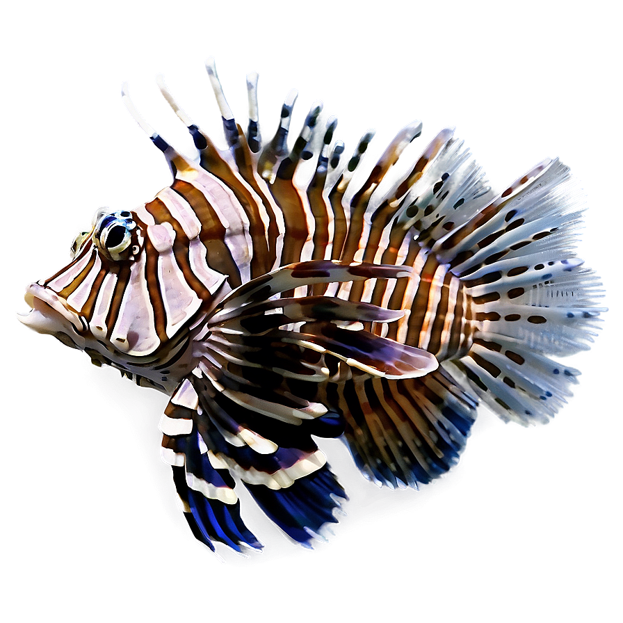 Detailed Lionfish Png 06292024