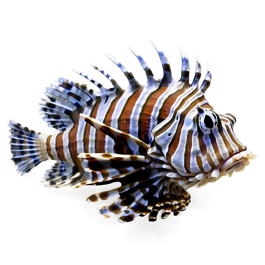 Detailed Lionfish Png Inm49