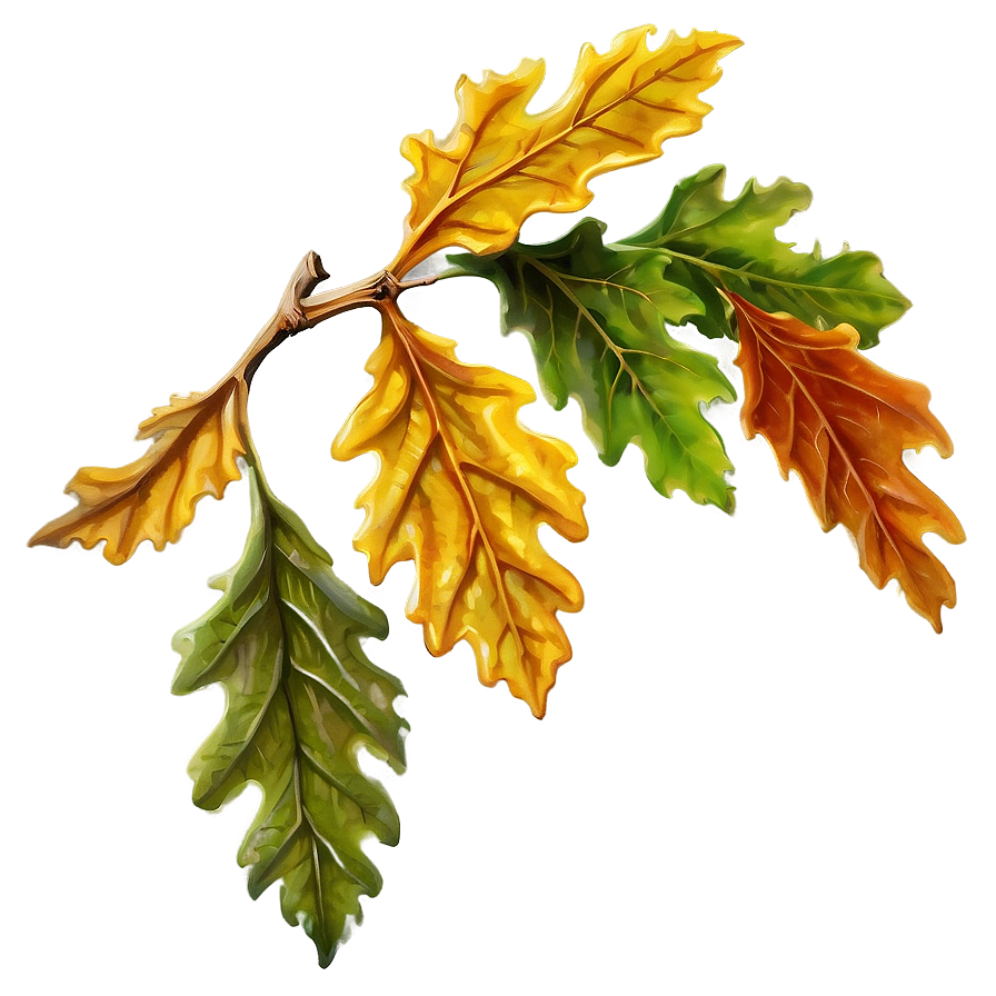 Detailed Oak Leaf Png 06292024