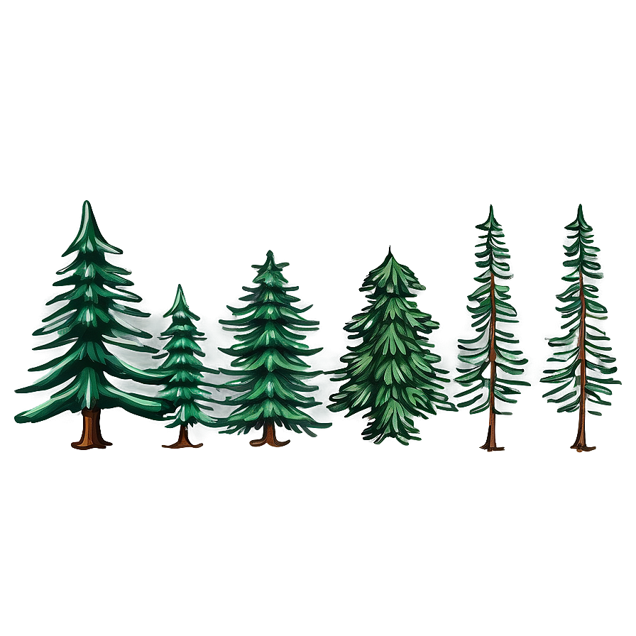 Detailed Spruce Tree Drawing Png 34