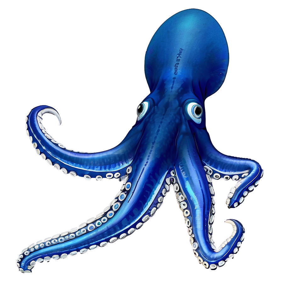 Detailed Squid Anatomy Png Ueq52