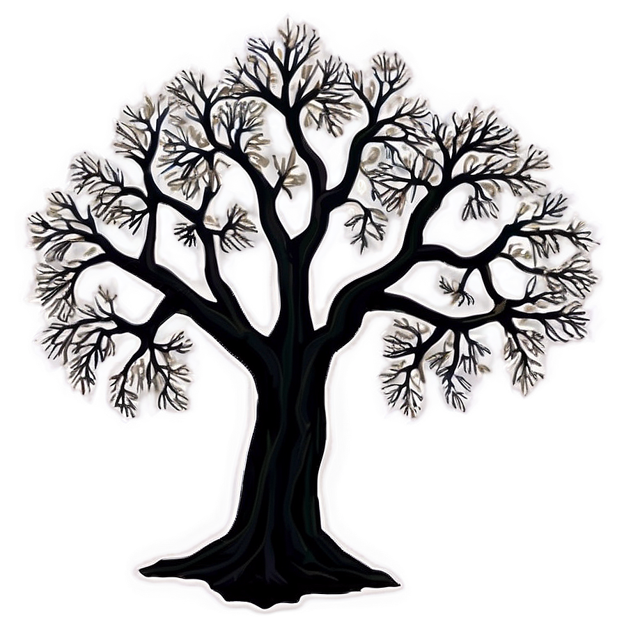 Detailed Tree Outline Png 29