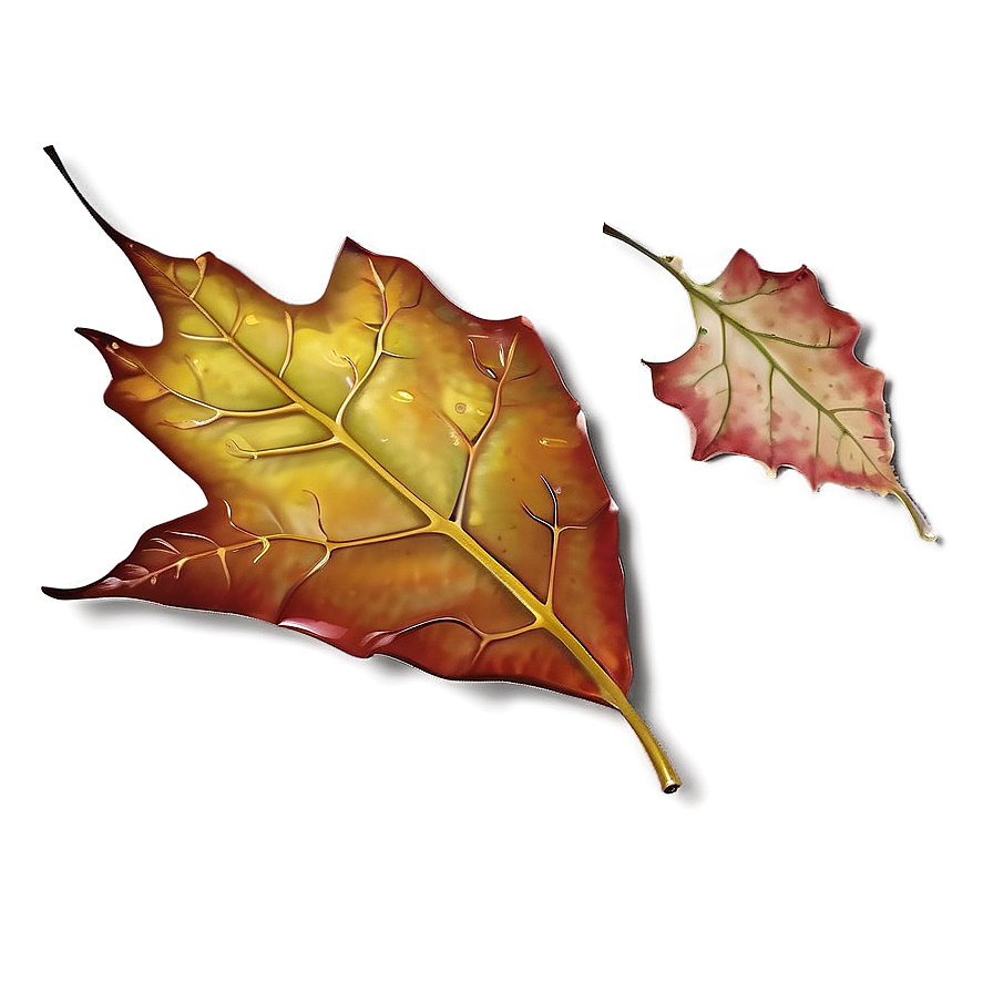 Dewy Autumn Leaf Morning Png 40