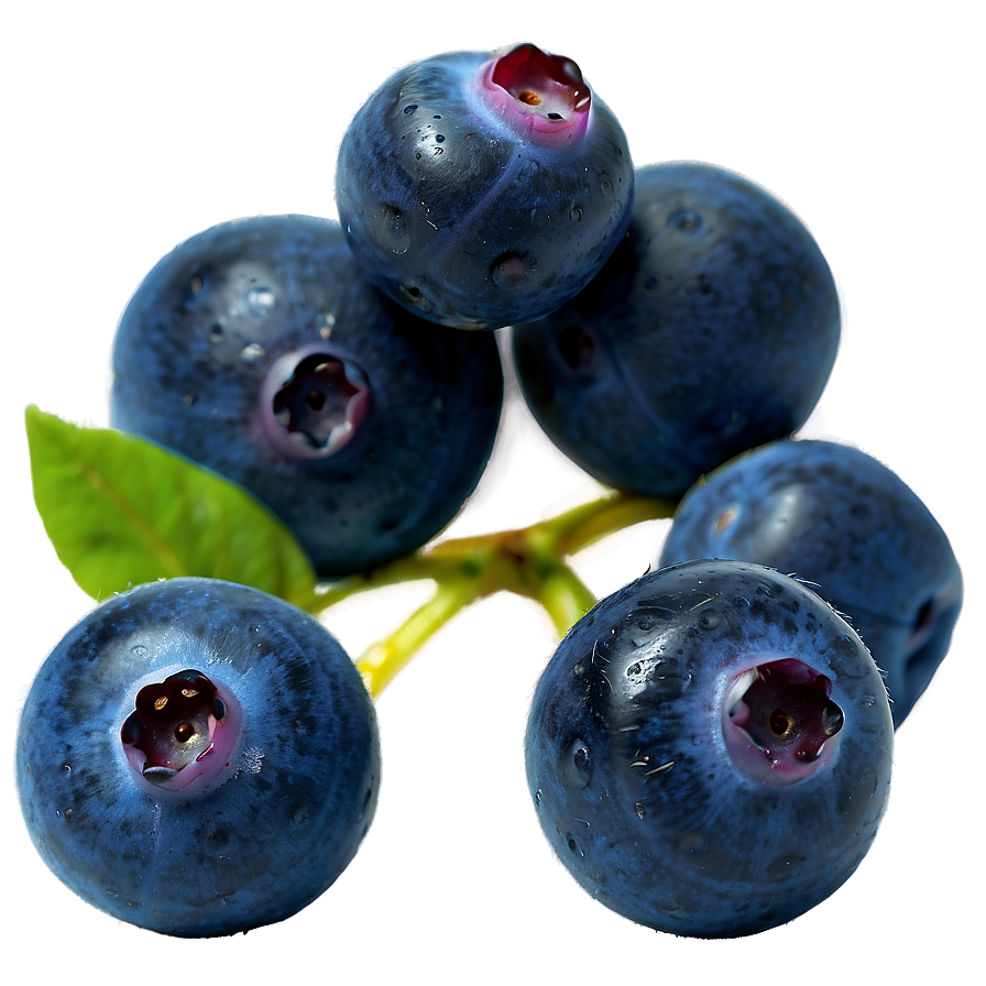 Dewy Blueberries Png 44