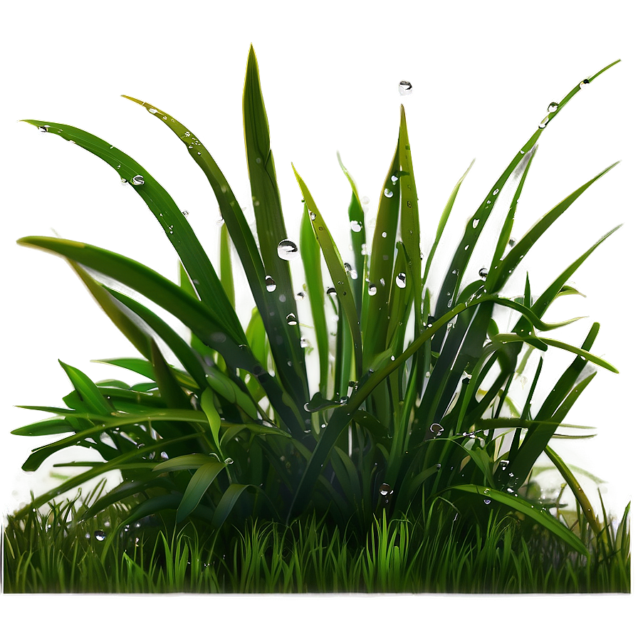 Dewy Morning Grass Png Bka35