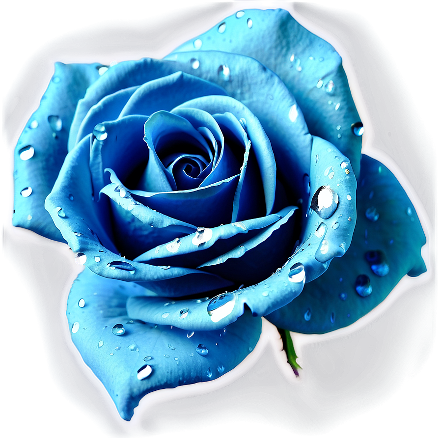 Dewy Rose Clipage Clipart Png Gfk51