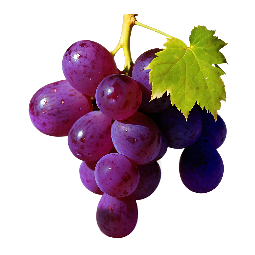 Dewy Single Grape Png Fsy