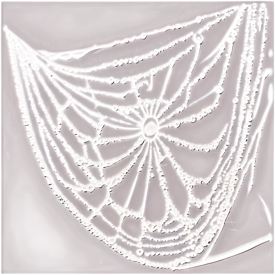 Dewy Spider Web Art