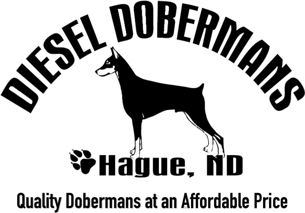 Diesel Dobermans Logo