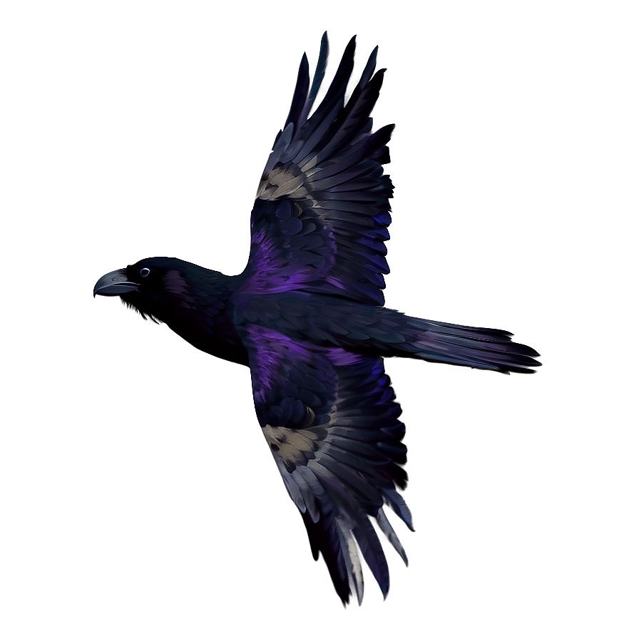 Digital Art Raven Png 06122024