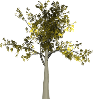 Digital Art Tree Against Black Background