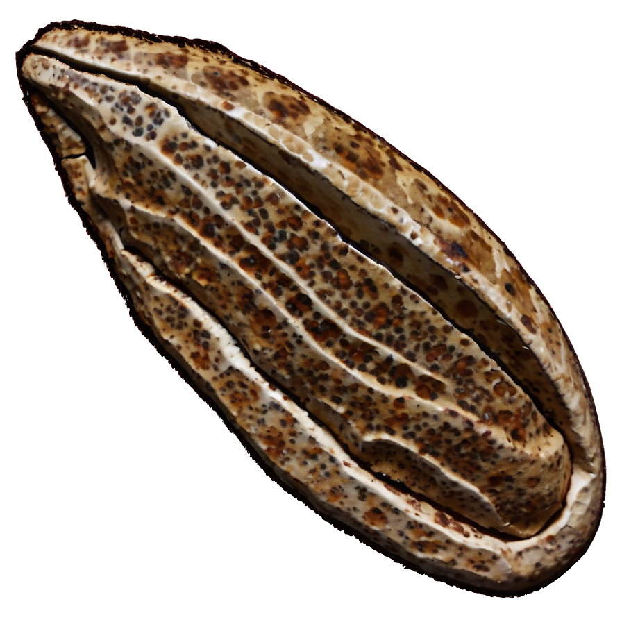 Dinosaur Bone Fossil Png Ubp33