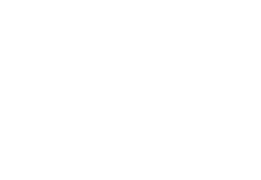 Discord Partner Logo