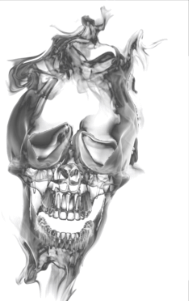 Distorted Skull Illusion