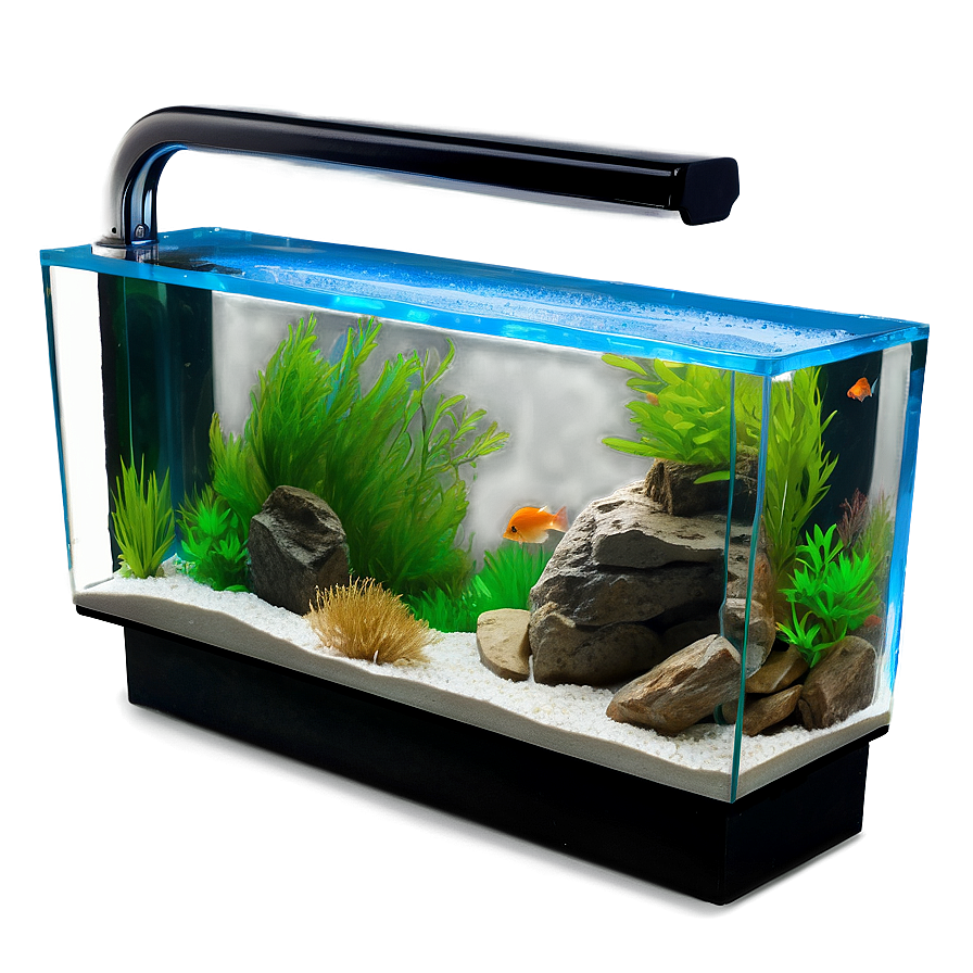 Diy Fish Tank Png 06122024