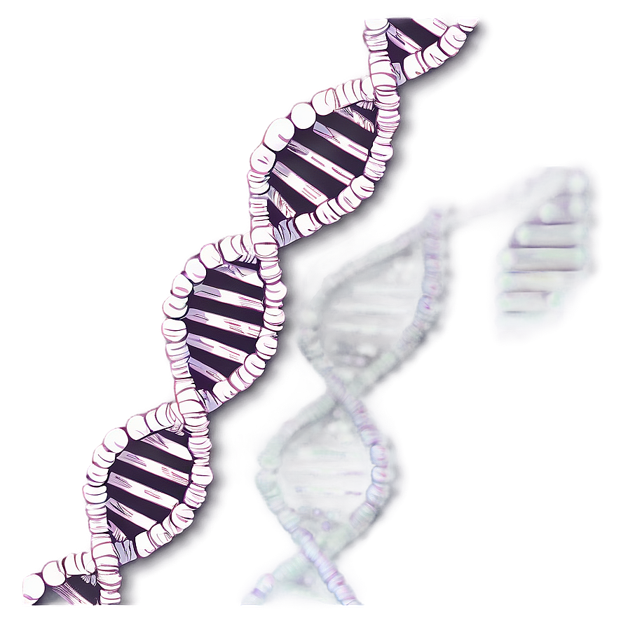 Dna Fingerprinting Graphic Png 48